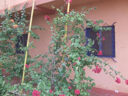 Tortuga B&B