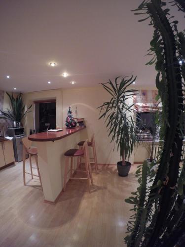 Green Hall apartment - image 4