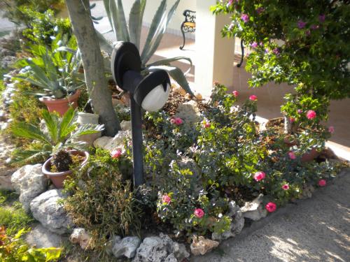 Civico 493 B'n'B - image 6