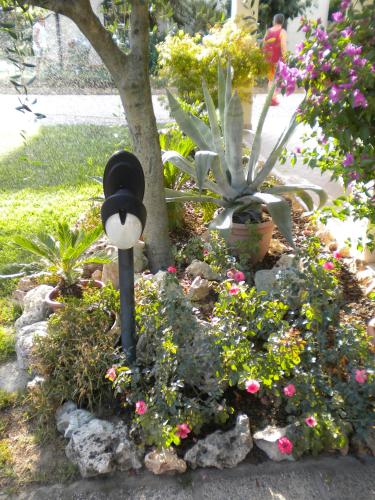 Civico 493 B'n'B - image 13