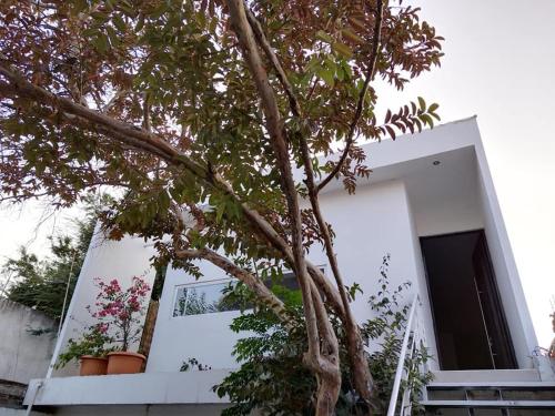CASA MANGO 3 Amplio departamento in Río Verde, Mexico