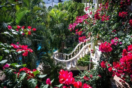 Aventura Mexicana Hotel – Playa del Carmen, TX