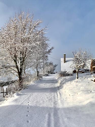 Cheerful Cottage at Balatonfelvidek Dörgicse