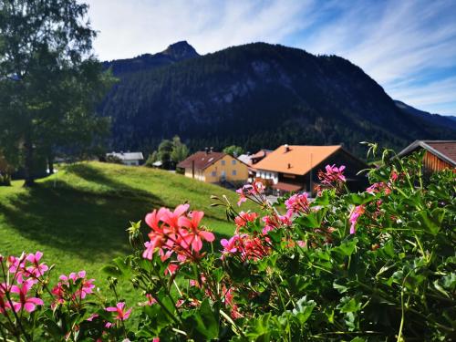 Haus Steinkarblick und Berghäusl