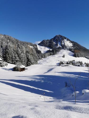 Haus Steinkarblick und Berghäusl