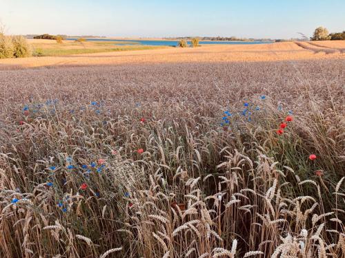 Ferienwohnung Zur Schoritzer Wiek Ferienwohnung Zur Schoritzer Wiek