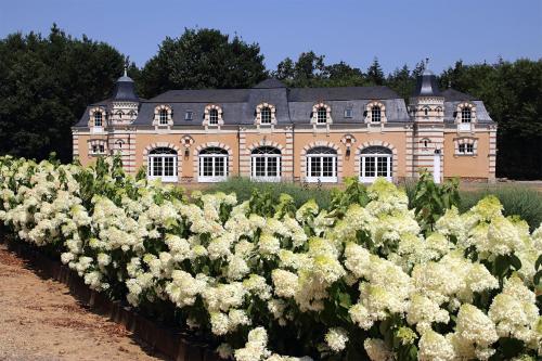 Orangerie de la Touchardière gîte à louer La Chapelle-d'Aligné