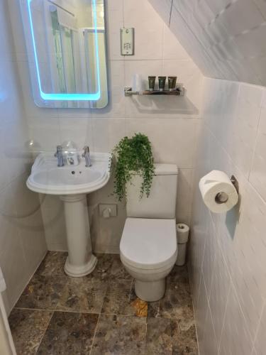 Baño, Eagle View Guest House in Newtonmore