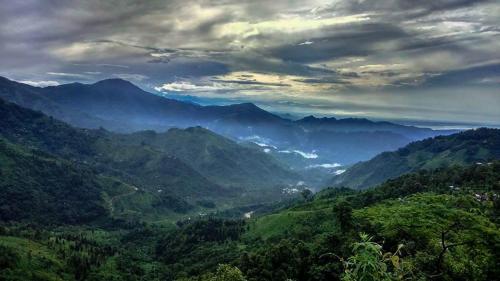 ANURAG HOMESTAY in Cart Road