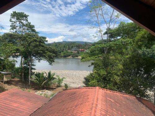 Playa Tortuga Puerto Misahualli