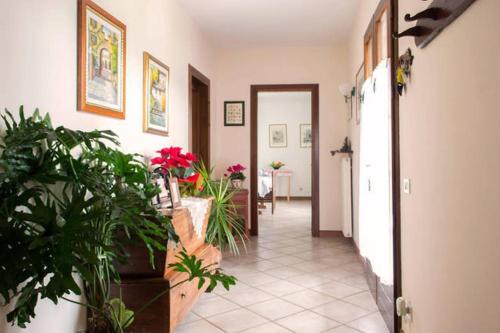 Létesítmények, B&B Zia Maria in Fonte