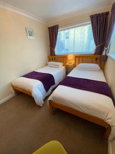 Paignton Court - image 3
