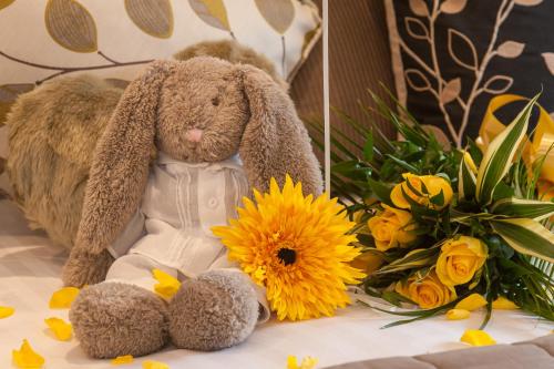 42224865 Windermere Boutique Hotel Spa Suites & Hot Tubs