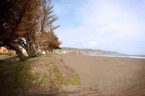 Acogedora cabaña en Pelluhue a metros de la playa
