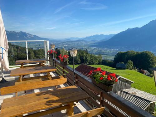 Aparthotel-Almgasthaus Gemsli - A bisal Österreich überm Schweizer Rheintal