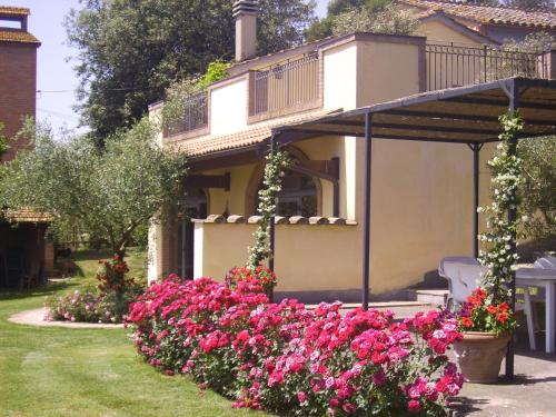 Apartment with Terrace image 5