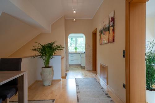 Apartment Tinney