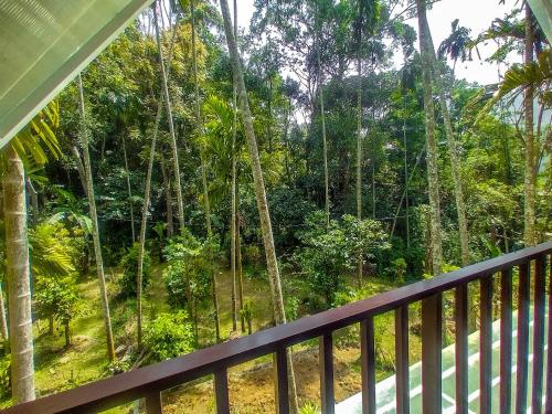 Double Room with Garden View image 10