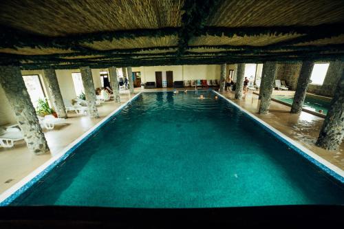 Spa, Pension Domeniul Regilor in Sălicea