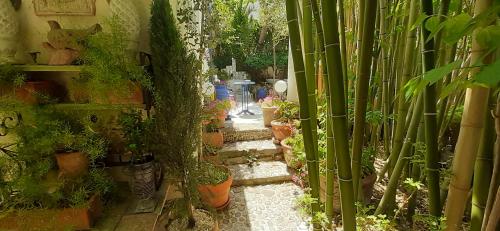 Maison et terrasse dans le jardin du Château de Gaillard, Marseille (Foto 7)