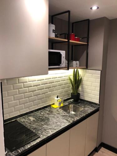 One-Bedroom Apartment image 5