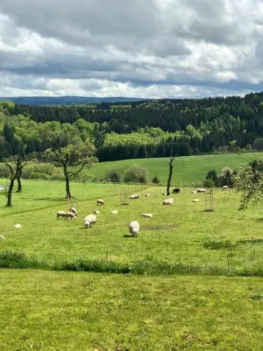 Ferienwohnung Westwind in Schüller, Deutschland
