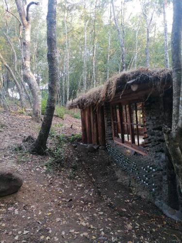Cabaña Amor de los Tronquitos, Camino Villarrica