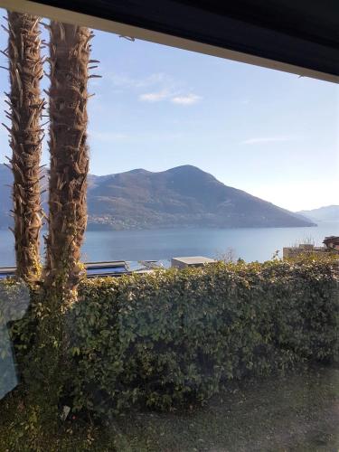 Brissago: 3.5 Zi-Wohnung an extrem ruhiger Lage mit fantastischem Ausblick - Apartment - Brissago