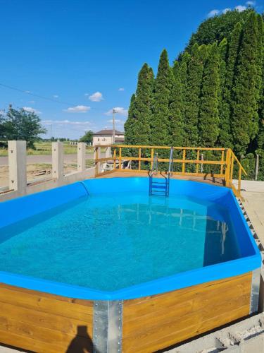 泳池, aQuarium Panzio in 阿巴德薩洛克