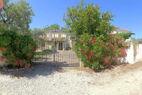 Il casale tra le vigne e il mare - Accommodation - Tollo