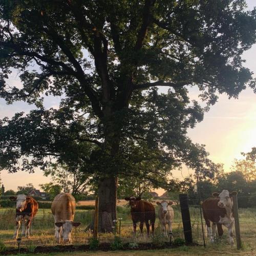Church Farm