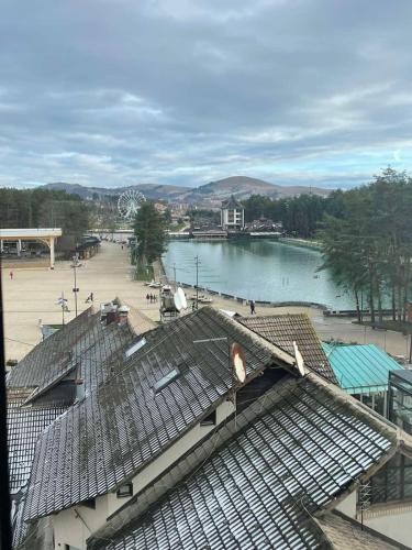 Avram, Zlatibor (photo 9)