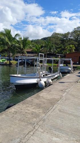 Panama Dive Adventure in Colon