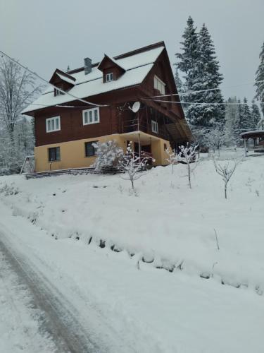 Casa din Poiană (Casa din Poiana) in Hănășești
