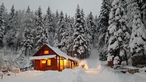 Chalet Woody in Stara Susica