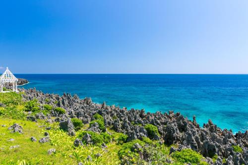 Oceanfront Coral View Home