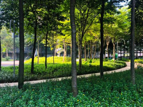 塔酷若公寓 塔酷若公寓