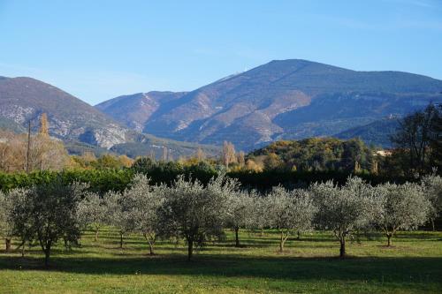 le Mas de Cocagne en Provence chambre d'hôte Beaumont-du-Ventoux