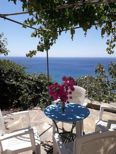 Giota & Antonia Apartments in Agios Georgios