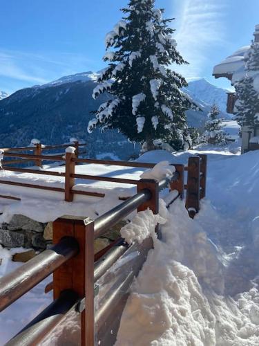 Chalet , Thyon Les Collons, 4 Vallées (Chalet , Thyon Les Collons, 4 Vallees) in 維克斯
