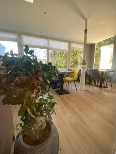 อาหารและเครื่องดื่ม, Hotel Le Picardy in แซงต์ ดิซิเญ