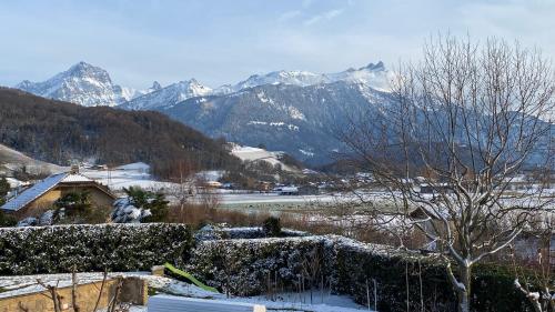 The Traditional The Traditional