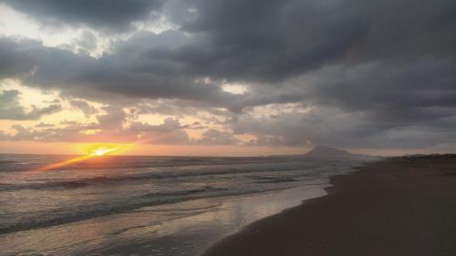  AmaNacer Oliva in Oliva