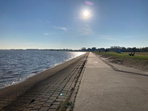 Strandrose, Horumersiel (Foto 8)