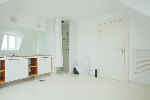 Unique 5 Bedroom Apartment w Exposed Beams in Copenhagen - image 4