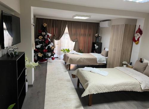Guest House Tatiana Studio in 佩特里奇
