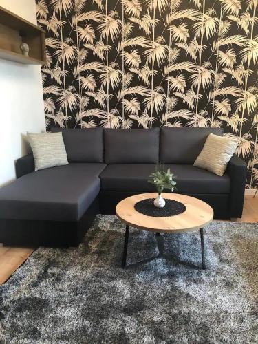 Lucy’s apartment - Osijek