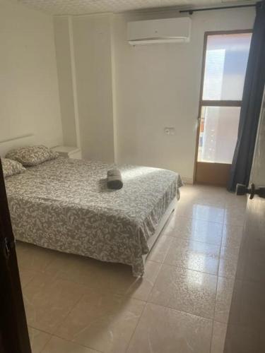 Appartement Célia