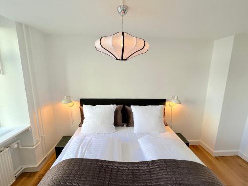 Amazing Apartment Near Tivoli Gardens & Copenhagen City Hall Square, Kopenhagen (Foto 3)
