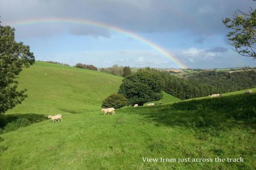 Sunflowers Barn, Looe (foto 6)